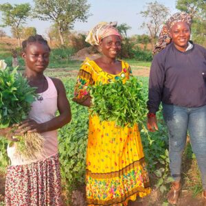 Femmes membres de LINEENBAAL Women Association engagées dans des pratiques agroécologiques au Ghana